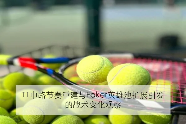 T1中路节奏重建与Faker英雄池扩展引发的战术变化观察（manguan）